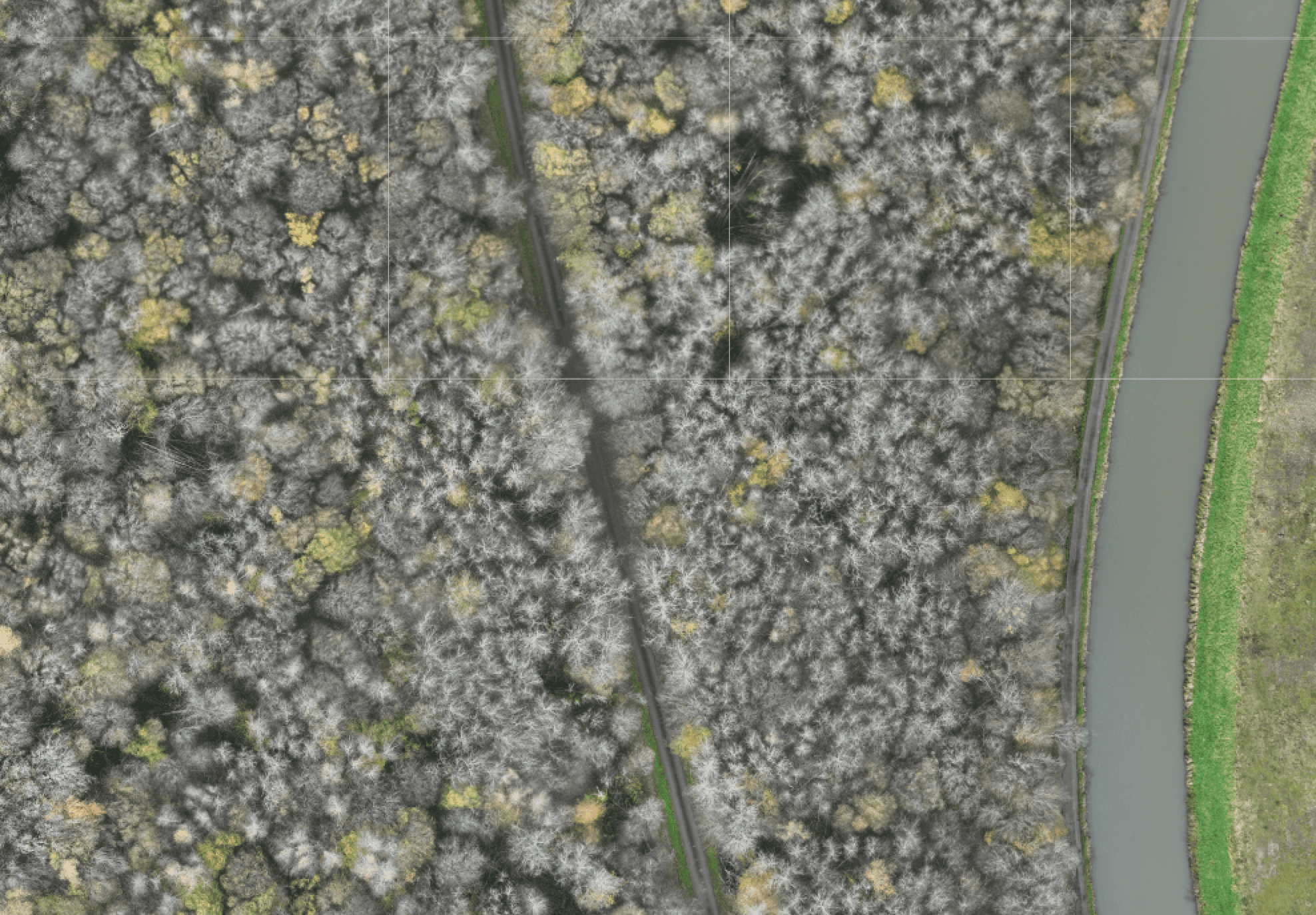 Fond cartographique aérien d'une zone arborée pour lecture des milieux naturels